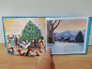 Libro infantil  La Gran Fiesta Del Invierno