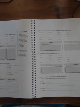 Quadern ProDigi. Llengua catalana i Literatura ...