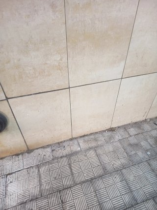 Cartone