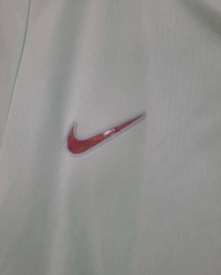Camiseta Francia Nike Verde