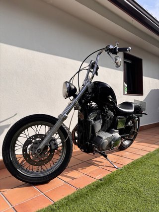Harley Davidson Sportster 883 Carburación