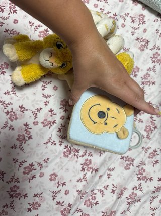 Lote Juguetes Bebé