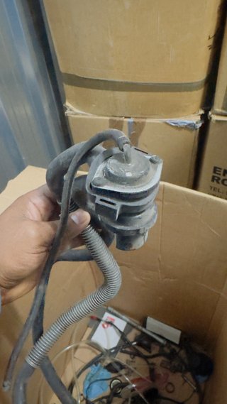 Pinza Freno Delantera Honda FMX 650 Dorada