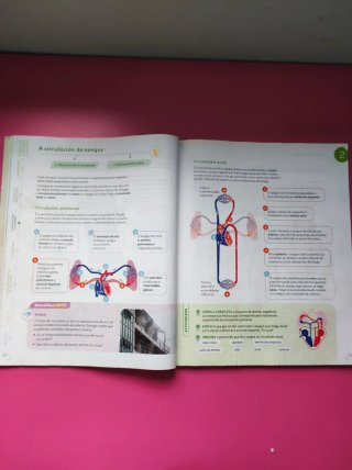 Ciencias da naturaleza, 6 Primaria, Proxecto Co...