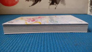 Manga Sailor moon Pretty Guradian 12