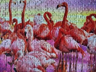 Puzzle Clementoni 1000 piezas Flamencos