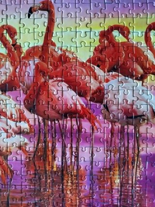 Puzzle Clementoni 1000 piezas Flamencos