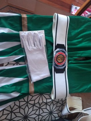 Disfraz Power Ranger Verde Talla L