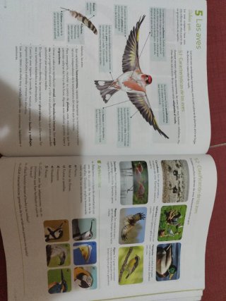 Biología y Geología 1º ESO