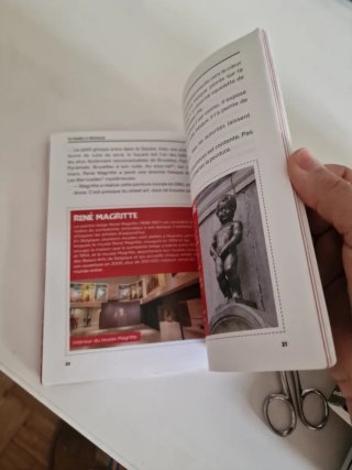 24 heures à Bruxelles, une journée, une aventure