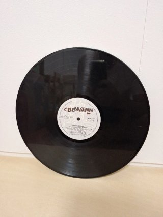 Collezione Vinili Chuck Berry