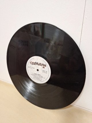 Collezione Vinili Chuck Berry