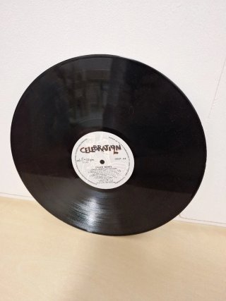 Collezione Vinili Chuck Berry