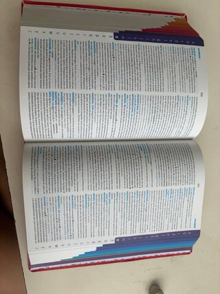 Diccionario Avanzado Primaria. Lengua española
