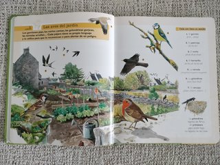 Mi primer Larousse de la naturaleza