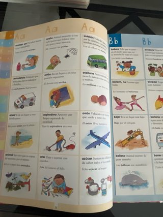Mi primer diccionario