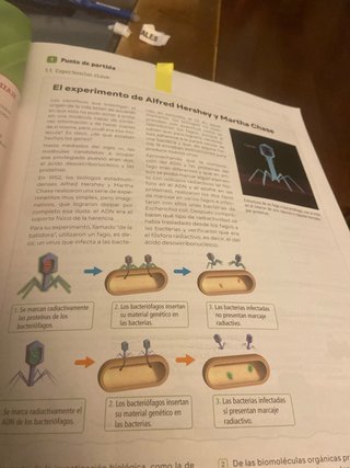Biología, 2 bachillerato, Revuela Guía del prof...