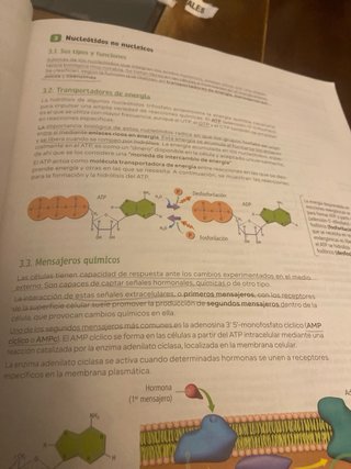 Biología, 2 bachillerato, Revuela Guía del prof...