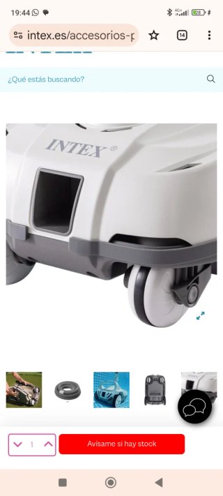 Limpiafondos Intex Z100. 50 euros