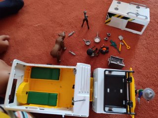 Playmobil Wild Life 70278