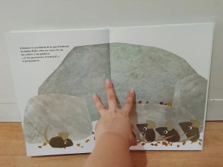 Libro infantil  Frederick