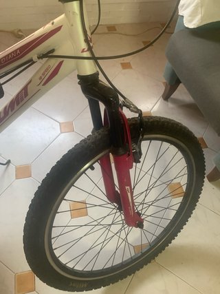 Bicicleta Diana niña