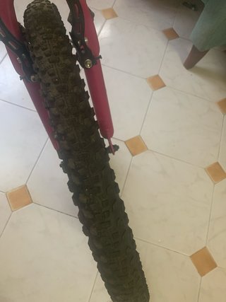 Bicicleta Diana niña