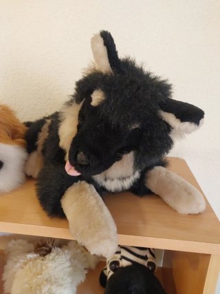 Lote de peluches variados