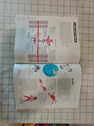 Proyecto: FanFest. ¡Lecturas y acción! 5 Primar...