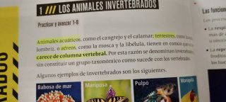 Biología Y Geología 1 Secundaria. Edelvives