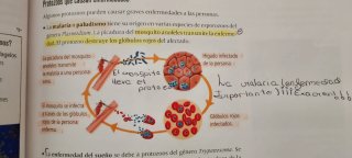Biología Y Geología 1 Secundaria. Edelvives