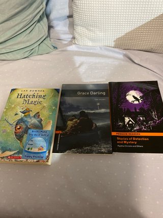 Pack libros en ingles