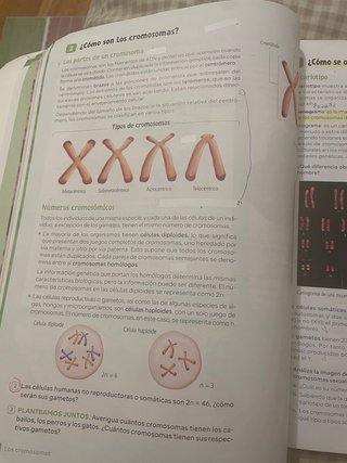 Biología y Geología, 4 Secundaria, Andalucía Re...