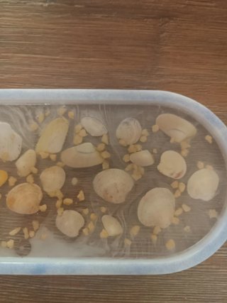 Mini vassoio svuota tasche con conchiglie
