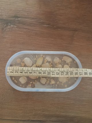Mini vassoio svuota tasche con conchiglie