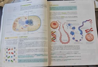 Biologia i Geologia, 4 ESO, Codi obert, En context