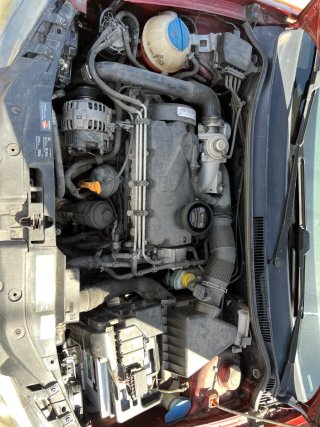 SEAT Ibiza 2007