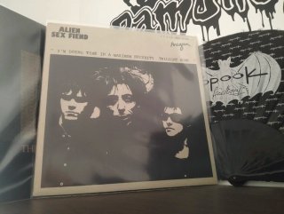 Alien Sex Fiend – I'm Doing Time In A Maximum