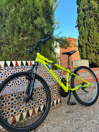 Bicicleta Montaña Verde26