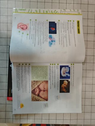 Ciencias de la Naturaleza 6, Tercer Ciclo Prima...