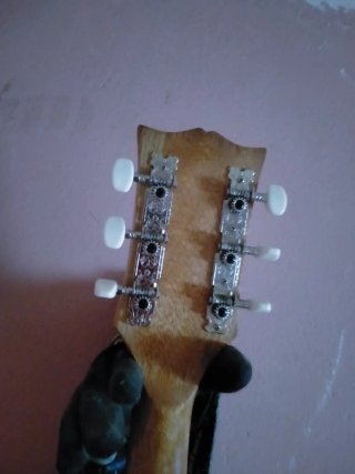 Guitarra Eléctrica Maya Negra