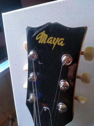 Guitarra Eléctrica Maya Negra