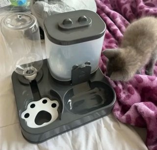Bebedero y Comedero para Mascotas