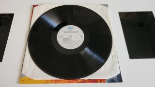 Allman Brothers - Shades of Two Worlds LP