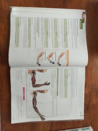 Anatomía aplicada, 1 Bachillerato