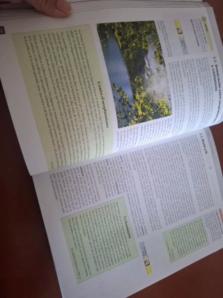 Historia de la filosofía 2