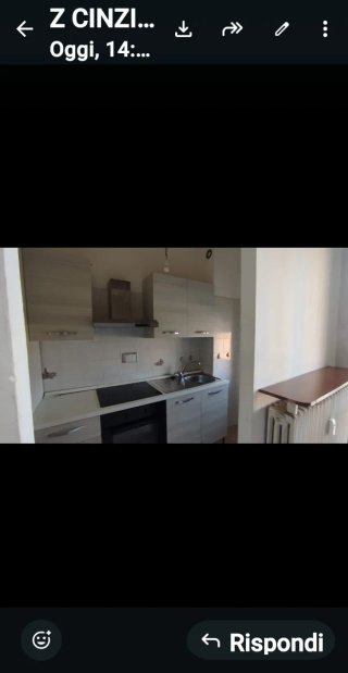 Cucina Athena L.255 P.60 H.216 - 1 anno