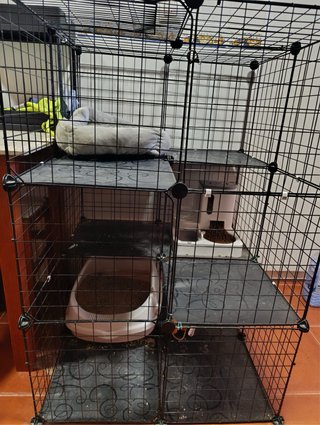 Jaula modular para gatos negra