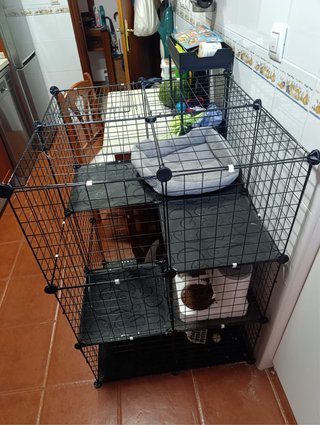Jaula modular para gatos negra