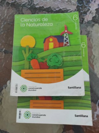 Libros sexto primaria naturales y música
